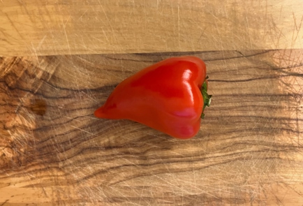 Фото шага рецепта Курица в остром томатном соусе 175110 шаг 5  