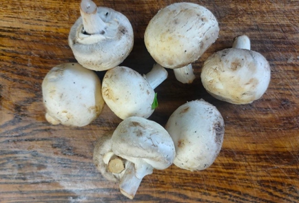 Фото шага рецепта Куриные грудки запеченные с домашним сыром помидорами луком и грибами 175478 шаг 11  