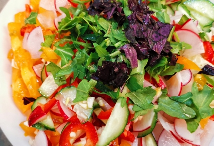 Фото шага рецепта Летний витаминный салат 153086 шаг 9  