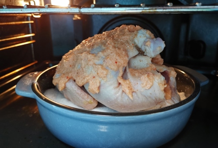 Фото шага рецепта Лимоннолуковая курица в духовке 186399 шаг 9  