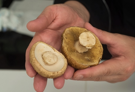 Маринованные белые грибы на зиму - классический рецепт с пошаговыми фото
