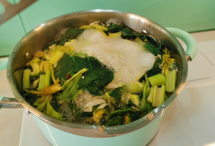 Фото шага рецепта Овощной суп с цыпленком корнишон 175910 шаг 10  