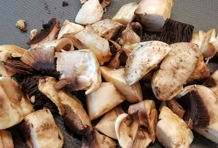 Фото шага рецепта Рулетики из жареного бекона с грибной начинкой 152857 шаг 1  