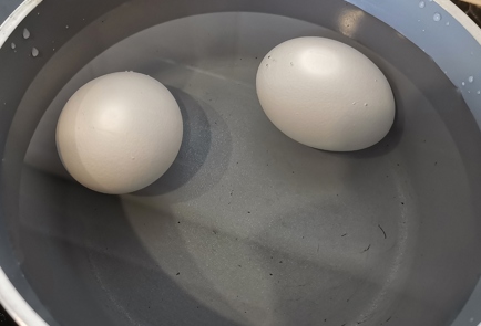 Фото шага рецепта Салат из яиц с вялеными томатами 173707 шаг 1  
