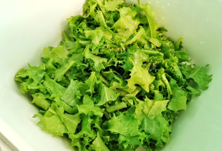 Фото шага рецепта Салат с адыгейским сыром зеленью и орехами 151218 шаг 3  