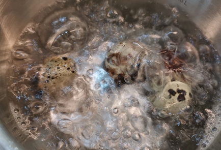 Фото шага рецепта Салат с курицей и перепелиными яйцами в соусе 151275 шаг 10  