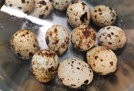 Фото шага рецепта Салат с перепелиными яйцами 186432 шаг 10  