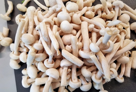 Фото шага рецепта Салат в нежном соусе из грибов шимеджи 151364 шаг 15  