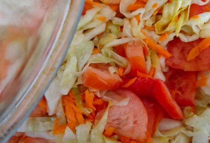 Фото шага рецепта Свинина с капустой морковью и помидорами в духовке 186409 шаг 11  