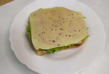 Фото шага рецепта Тосты с курицей 190749 шаг 8  