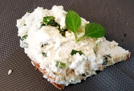 Фото шага рецепта Творожный сыр с зеленым базиликом 174154 шаг 11  
