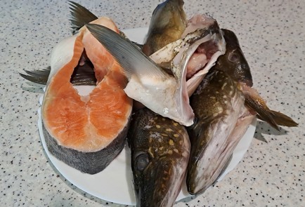 Фото шага рецепта Уха из двух видов рыбы 186610 шаг 2  