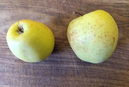 Фото шага рецепта Королевская ватрушка с яблоками 190836 шаг 9  