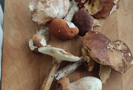 Фото шага рецепта Жареха с лесными грибами 174560 шаг 1  