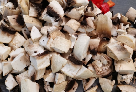 Фото шага рецепта Жаркое из утки с грибами 173413 шаг 3  