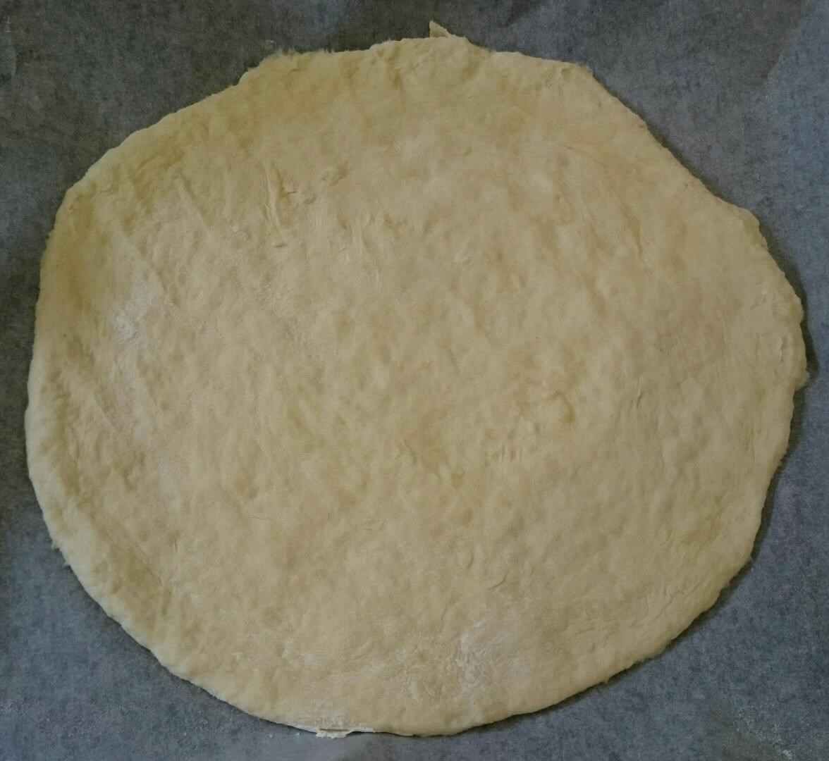 тесто дрожжевое для пиццы на сухих дрожжах быстрого приготовления воде в духовке рецепт фото 83