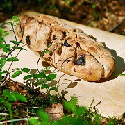 Пшенично-ржаной хлеб с изюмом и тмином
