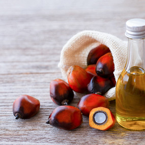 Пальмовое масло: вред и польза для организма