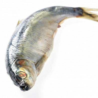 масляная рыба рецепты засолки | Дзен