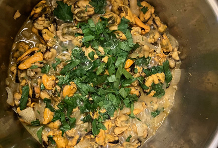 Фото шага рецепта Мидии под сливочнолуковом соусом 190844 шаг 11  