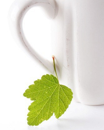 Летний черный чай со смородиновым листом