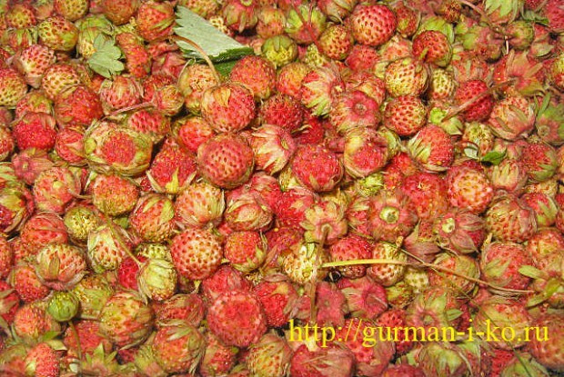 Варенье из луговой клубники