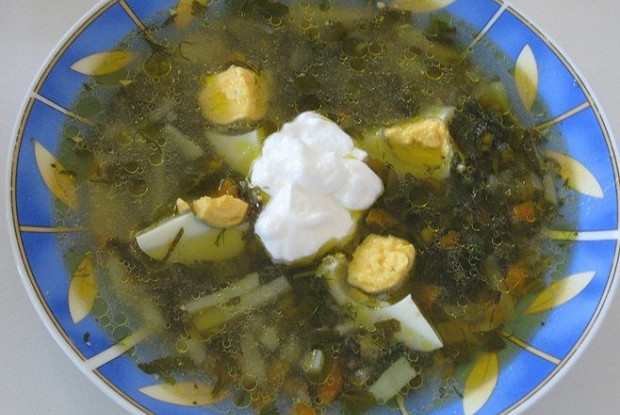 Щи из щавеля на курином бульоне