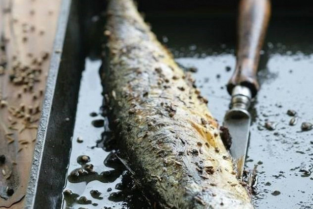 Жареная скумбрия с пряностями
