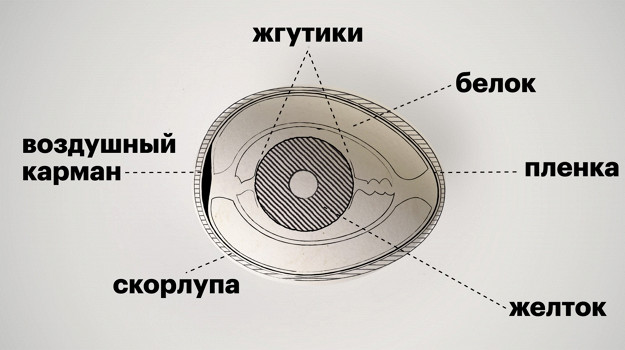 Изображение материала