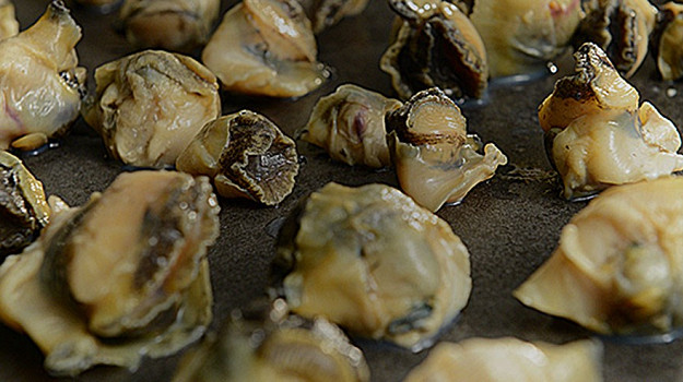 Мясо рапана как готовить