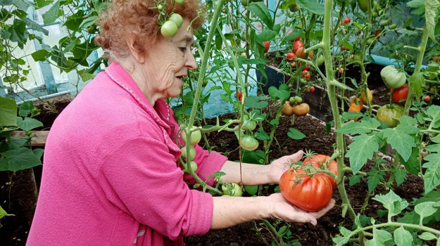 Изображение материала