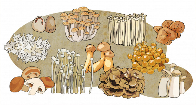 Азиатские грибы фото