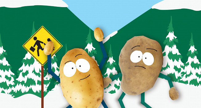 Восемнадцать вопросов про картошку фото