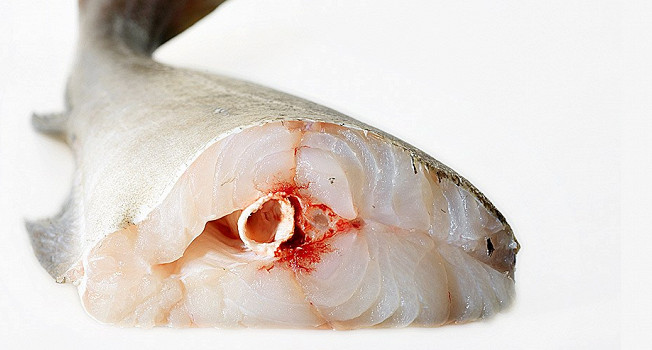 Рыба Треска Рецепты С Фото